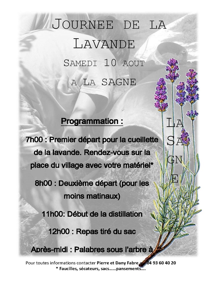 Journe de la Lavande 20 13