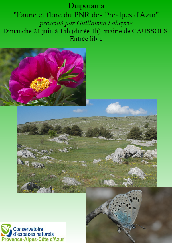 Projection de photographies sur la faune et la flore du PNR