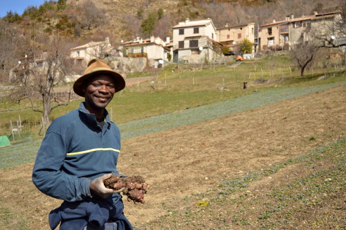 De saison et local c’est l’idéal… avec Pierre Koffi – Mois d’Avril